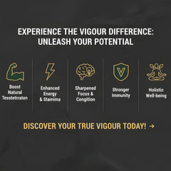 Shilajit Resin, Original Himalayan Shilajit 20g - VIGOUR SHILAJIT UK