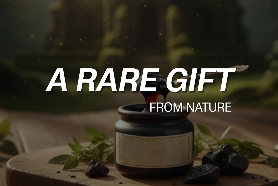 A Rare Gift from Nature - VIGOUR SHILAJIT UK