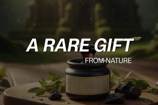A Rare Gift from Nature - VIGOUR SHILAJIT UK