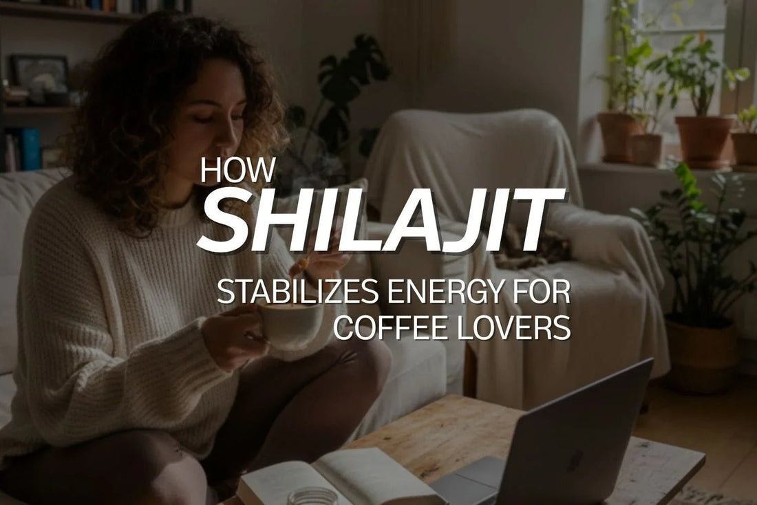 How Shilajit Stabilizes Energy for Coffee Lovers - VIGOUR SHILAJIT UK