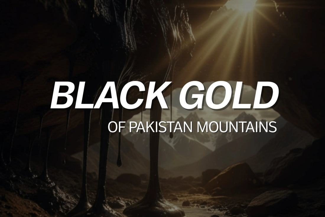 The Black Gold of Pakistan’s Mountains - VIGOUR SHILAJIT UK