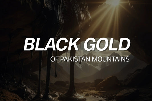 The Black Gold of Pakistan’s Mountains - VIGOUR SHILAJIT UK