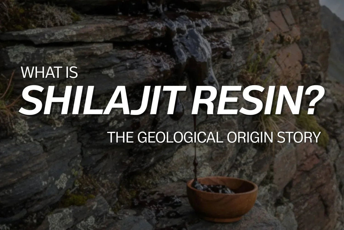 What is Shilajit resin? The geological origin story - VIGOUR SHILAJIT UK