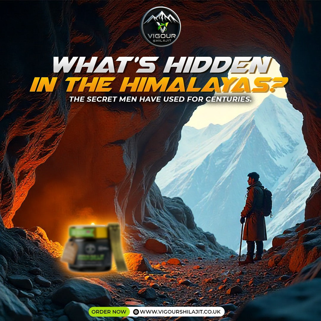 VIGOUR SHILAJIT UK