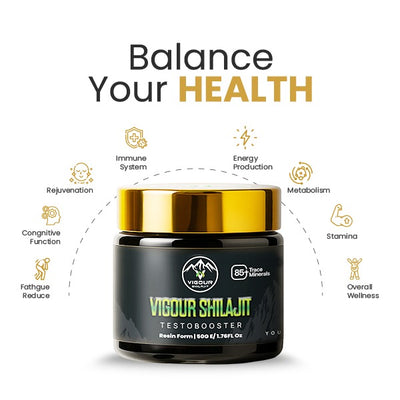 Vigour Shilajit 50g