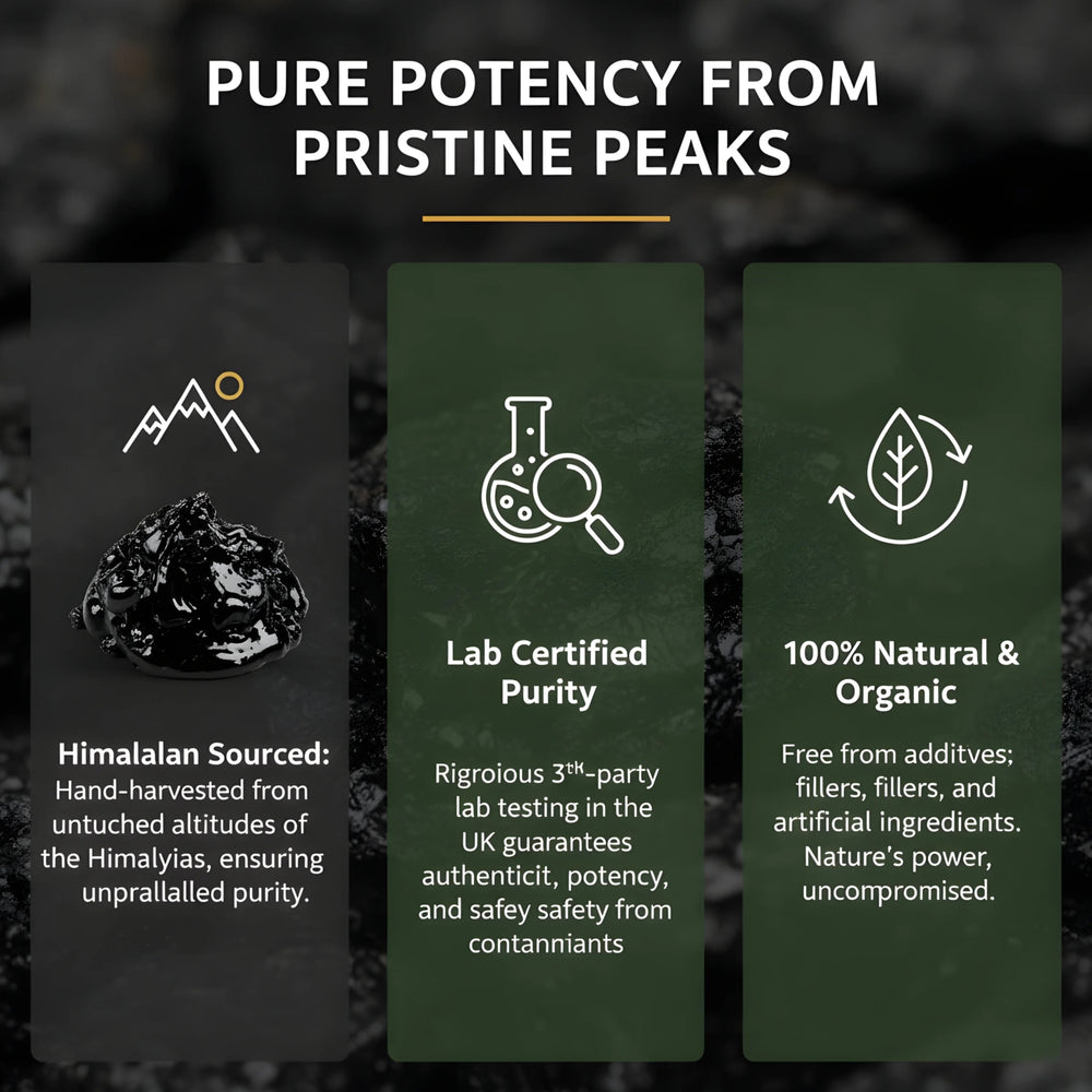 Shilajit Resin, Original Himalayan Shilajit 20g - VIGOUR SHILAJIT UK