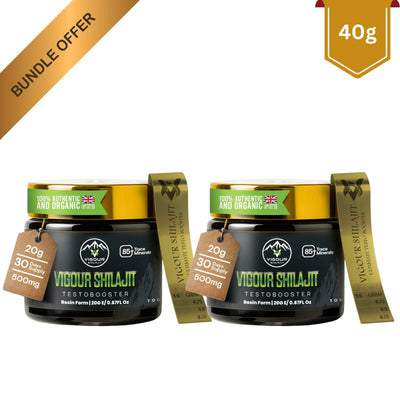 Vigour Shilajit Bundle 40g