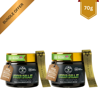 Vigour Shilajit Bundle 70g